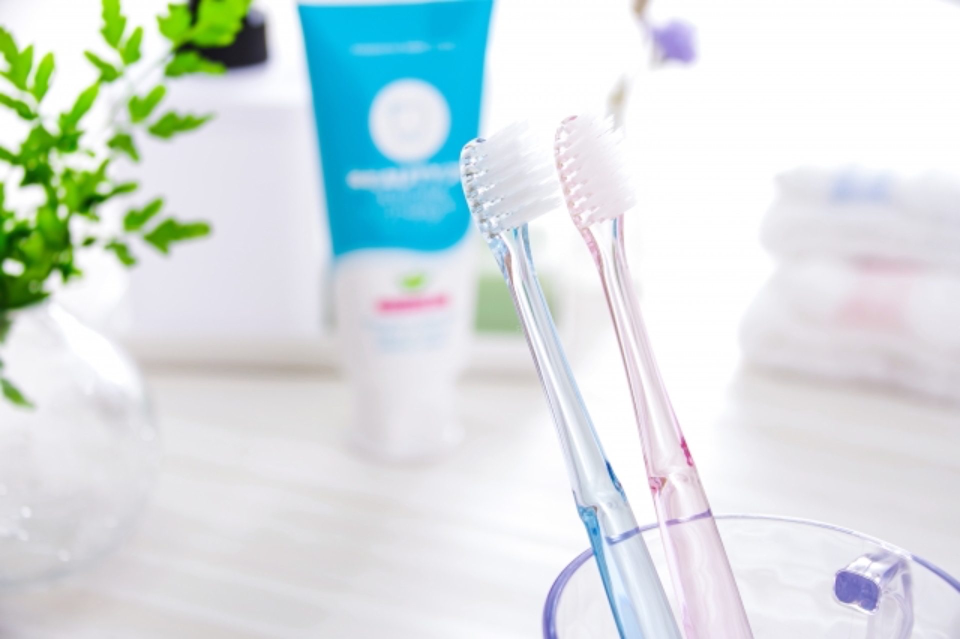 Toothbrush (manual and electric toothbrush) recommendation ranking! We also teach you how to choose one!