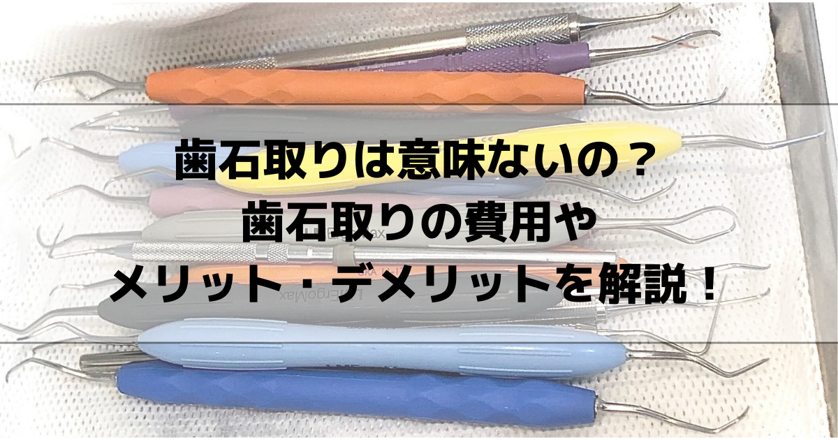 歯石取りは意味ないの？歯石取りの費用やメリット・デメリットを解説！