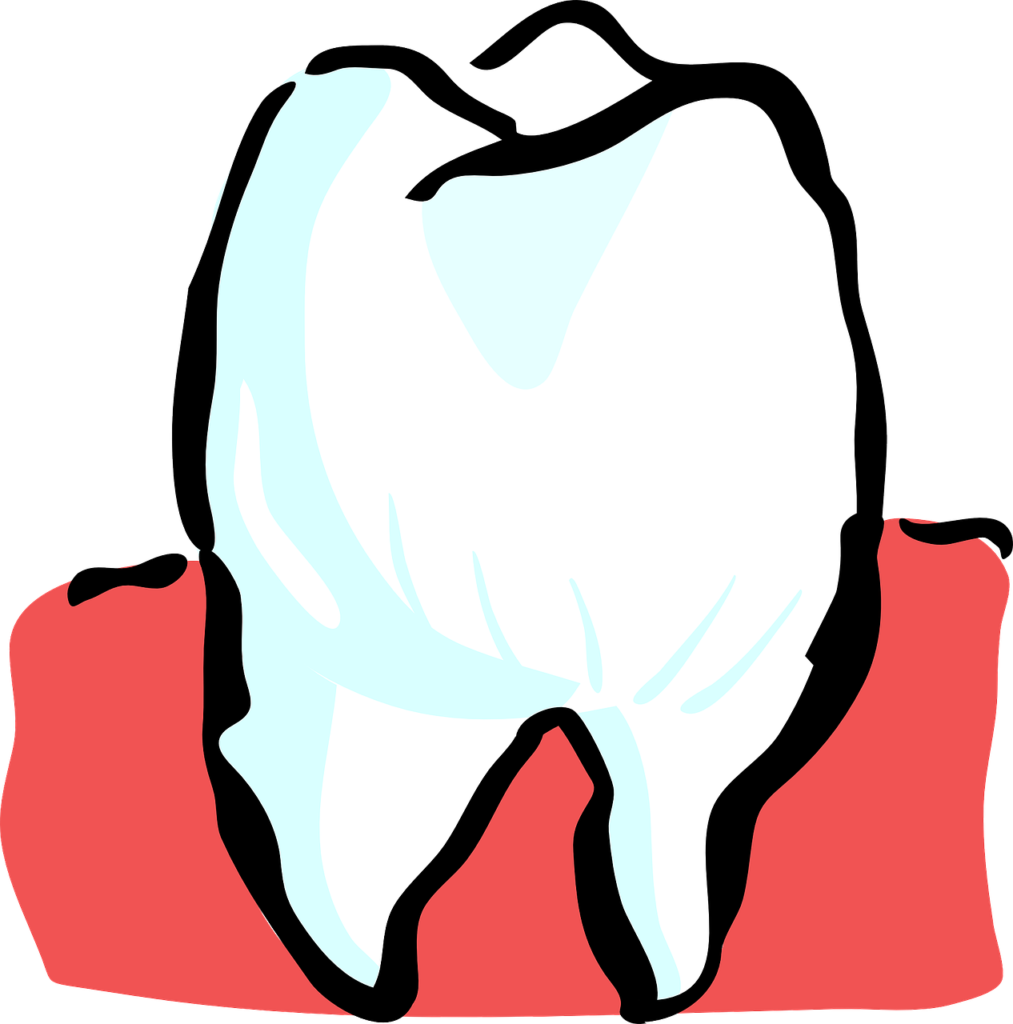 Tooth Illustration